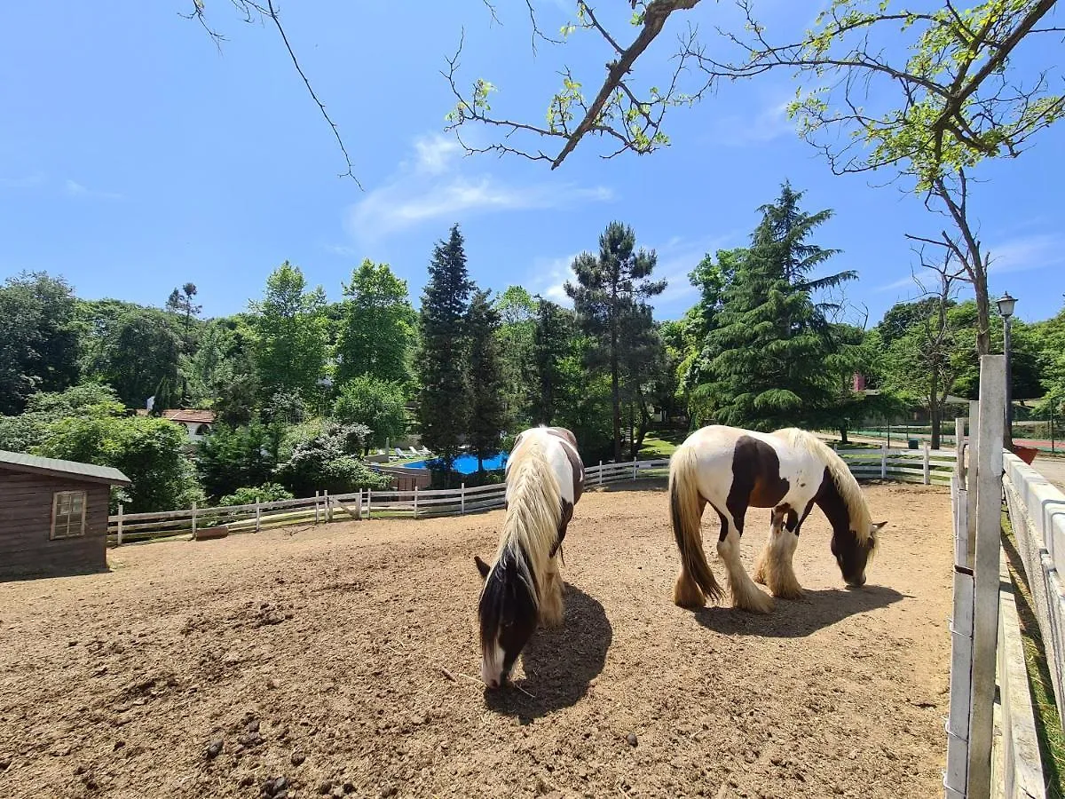 Polonezkoey Country Club & Accommodation In The Wildlife Park! Istanbul